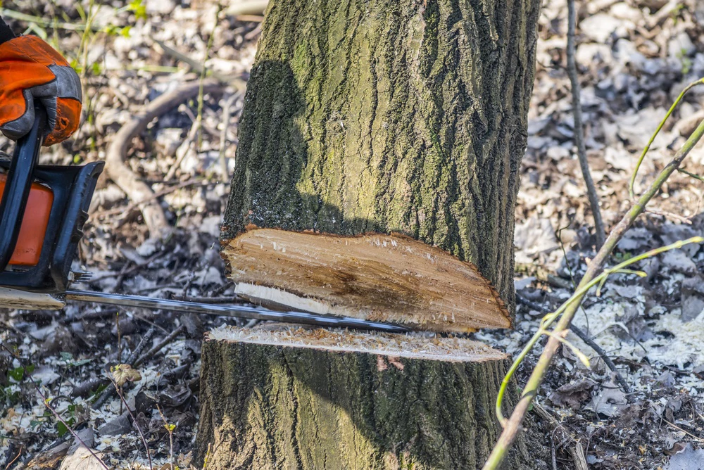Muškarac kod Čakovca poginuo pri rušenju stabla