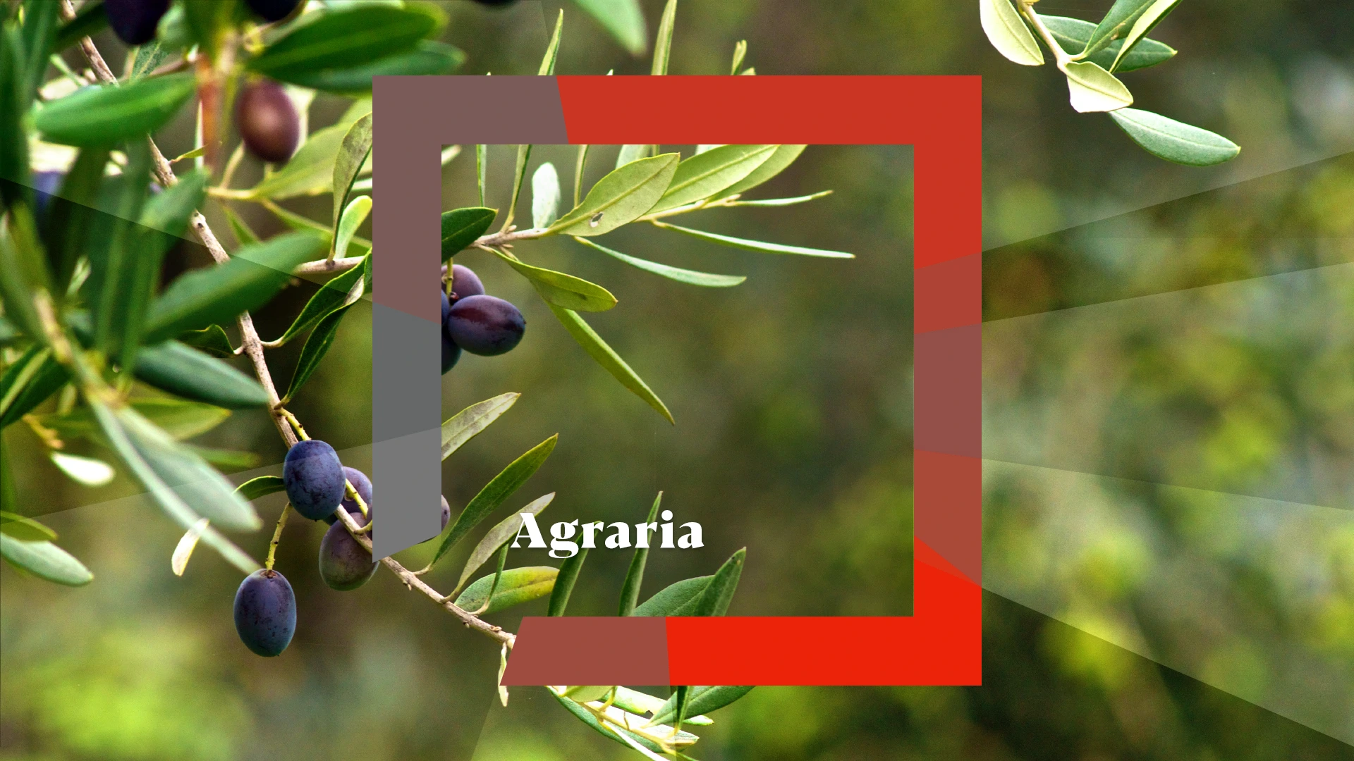 Agraria