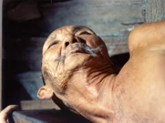 Subota, 28. veljače na Trećem, Foto: Pasji svijet 2/dokumentarni film