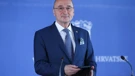 Gordan Grlić Radman