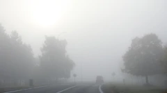 Magla u Vukovaru