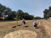 Šokačka alka, Foto: M. Kralj /HRT Radio Osijek 