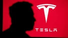 Tesla želi opskrbljivati britanska kućanstva električnom energijom