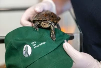 Rođendan zagrebačkog zoološkog vrta, Foto: Neva Zganec/PIXSELL