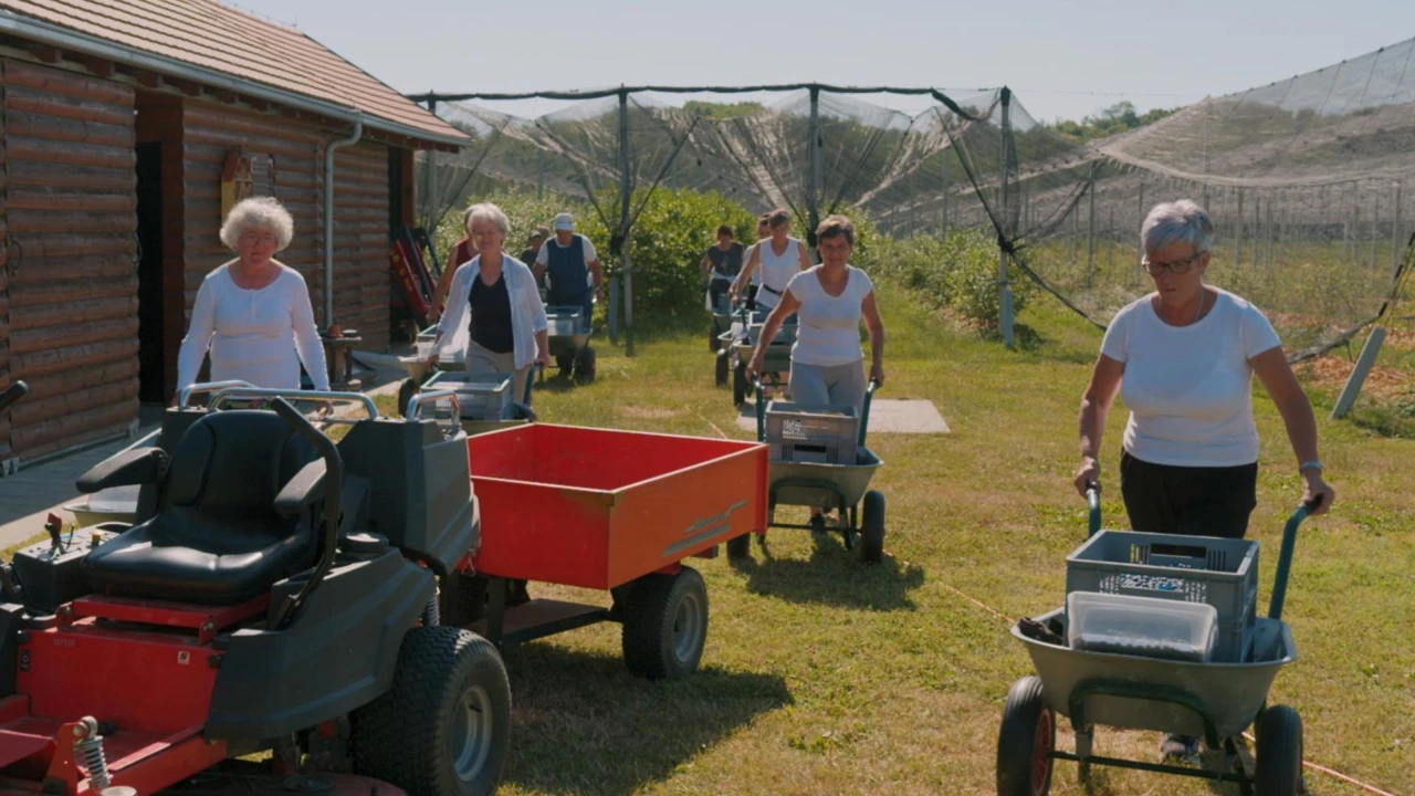 Ponedjeljak, 10. studenoga na Prvom