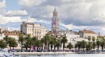 Race for the Cure Split