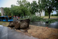 Zagreb, Foto:  Zeljko Lukunic /Pixsell