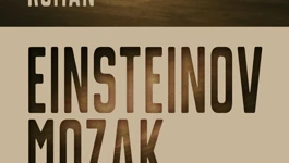 Einsteinov mozak