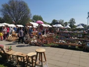 Festival cvijeća i drveća, Foto: HRT/Radio Osijek