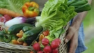 Proizvođačke cijene poljoprivrednih proizvoda porasle za 5,9 posto