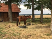 Ökopark Krašograd, Foto: Antunela Rajič/-