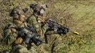 The Croatian Army 
