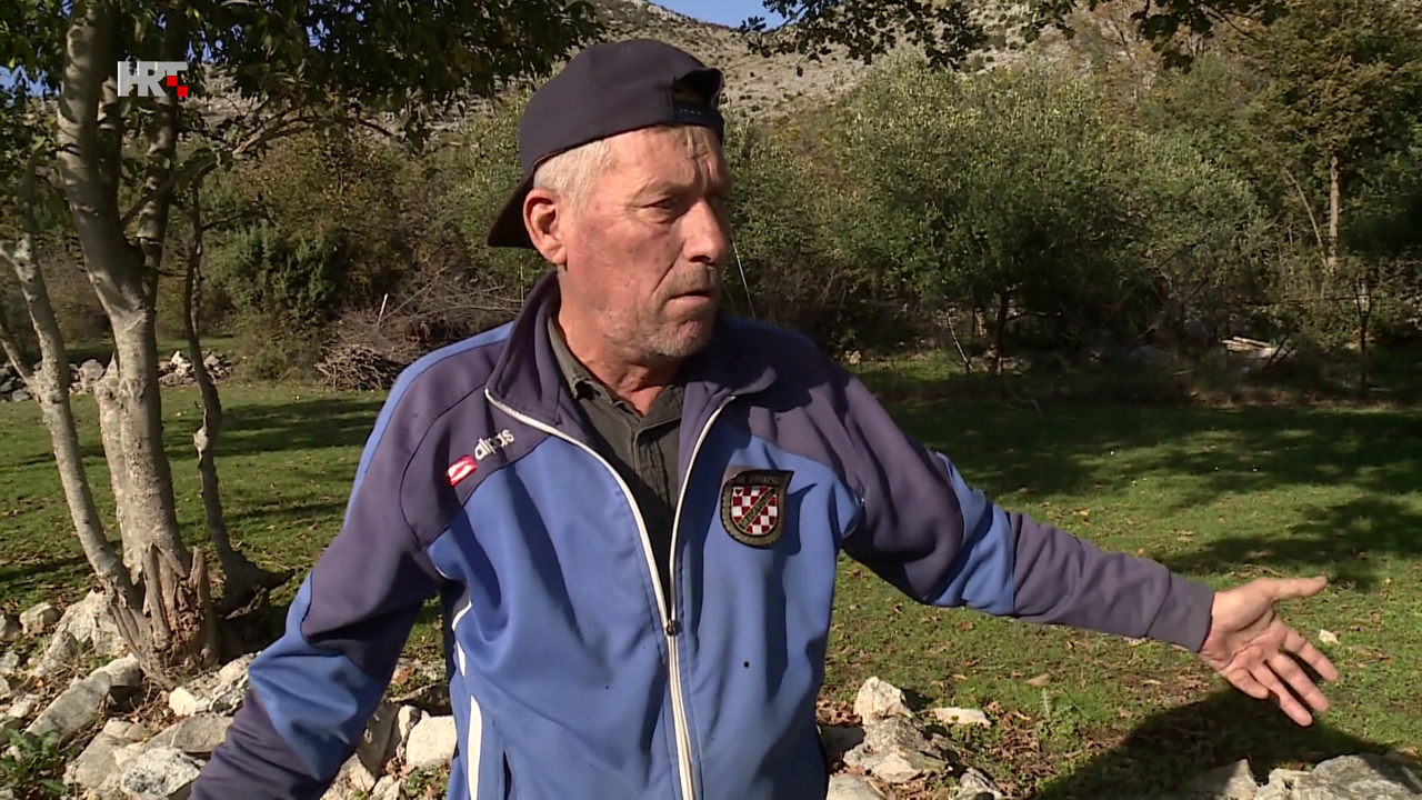 Zoran Barišić vuka je i čuo i vidio