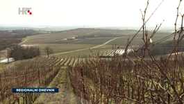 vinogradi