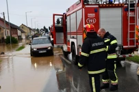 Vidovci, Foto: Ivica Galović/PIXSELL