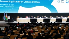COP29
