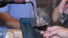 Festival peljeških podruma