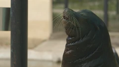 Subota, 21. ožujka na Prvom , Foto: Divlja ZOOna/dokumentarna serija 