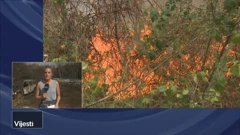 Požar je buknuo oko 15 sati