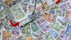 Hrvatska među zemljama EU-a s najvećim padom udjela duga u BDP-u
