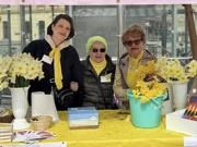 Dan narcisa u Osijeku, Foto: Ivan Vuknić/HRT Radio Osijek