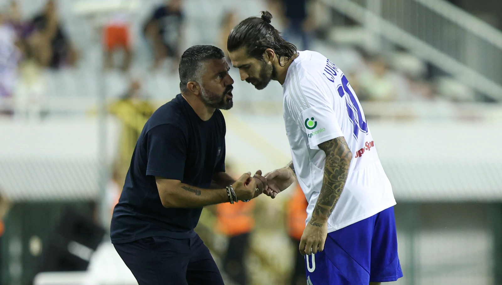 gattuso livi 20240818201436