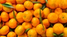 Mandarine