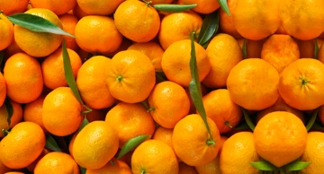 Mandarine