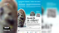 Potraga za mladim periskama