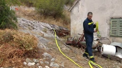 Požar kod Perkovića, Foto: Regionalni dnevnik/Požar kod Perkovića