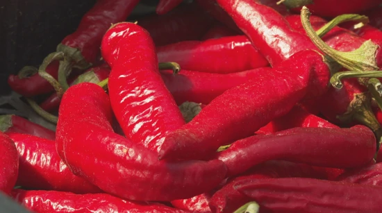 Paprika dozrela, a okusi obećavaju