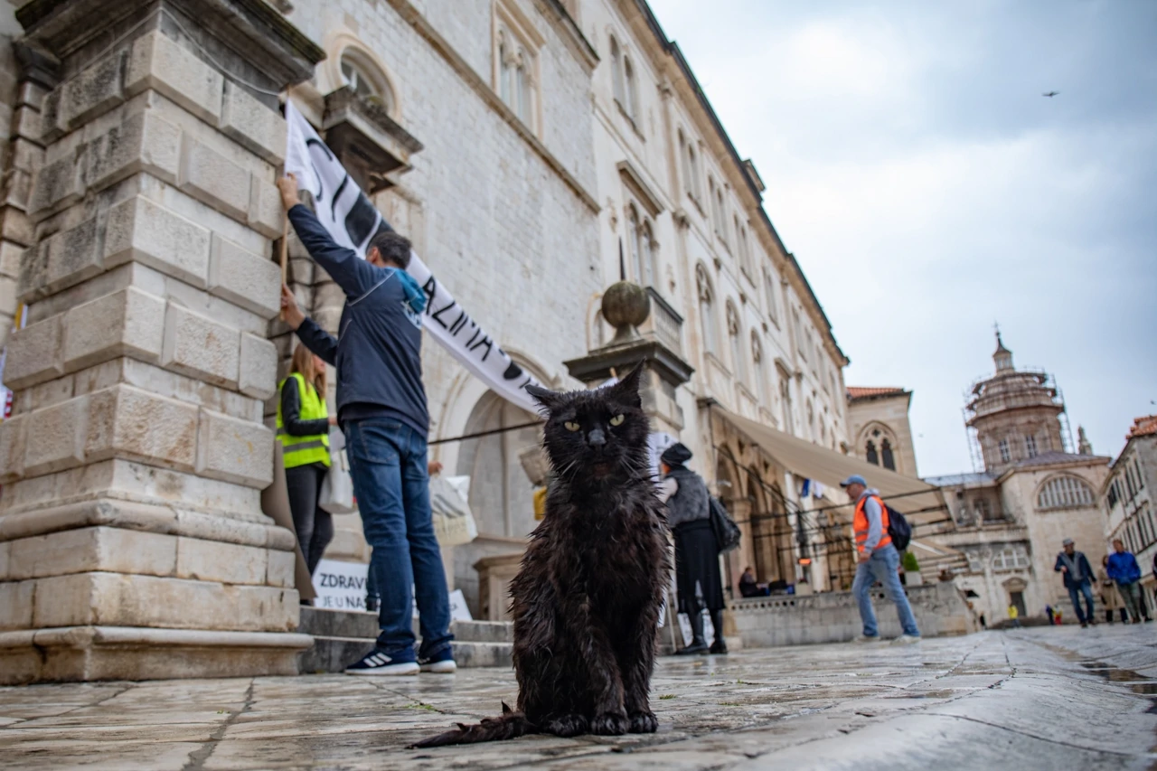 Prosvjed u Dubrovniku, Foto: Grgo Jelavic/PIXSELL