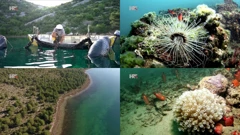 Jedinstveni ekosustav jezera