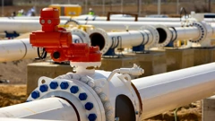 Plinska interkonekcija