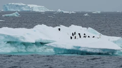 Emisije ugljičnog dioksida od izgaranja fosilnih goriva glavni su uzrok klimatskih promjena