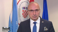 Gordan Grlić Radman 