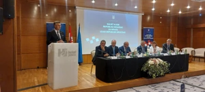 Savjeta za Hrvate izvan Rh, Foto: Ivana Perkovac/HRT