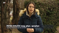 Petra Sviličić