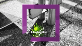 Ekologika