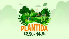 5. Plantida