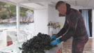 Romano Prelević, mlada nada šibenskog školjkarstva