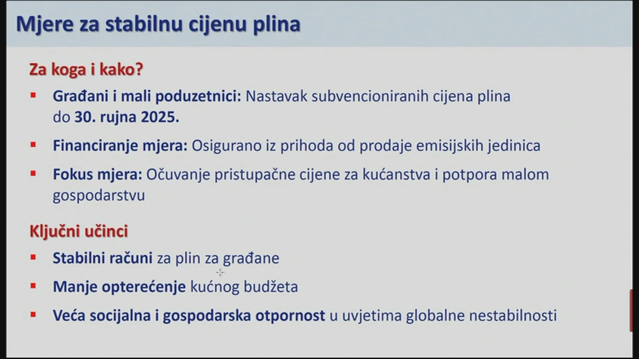 Mjere za stabilnu cijenu plina