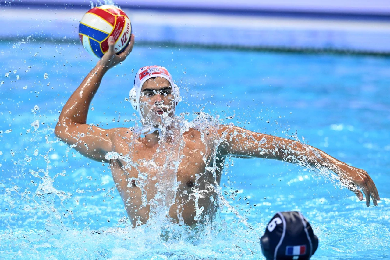 Hrvatska - Francuska