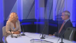 Guverner HNB-a Boris Vujčić