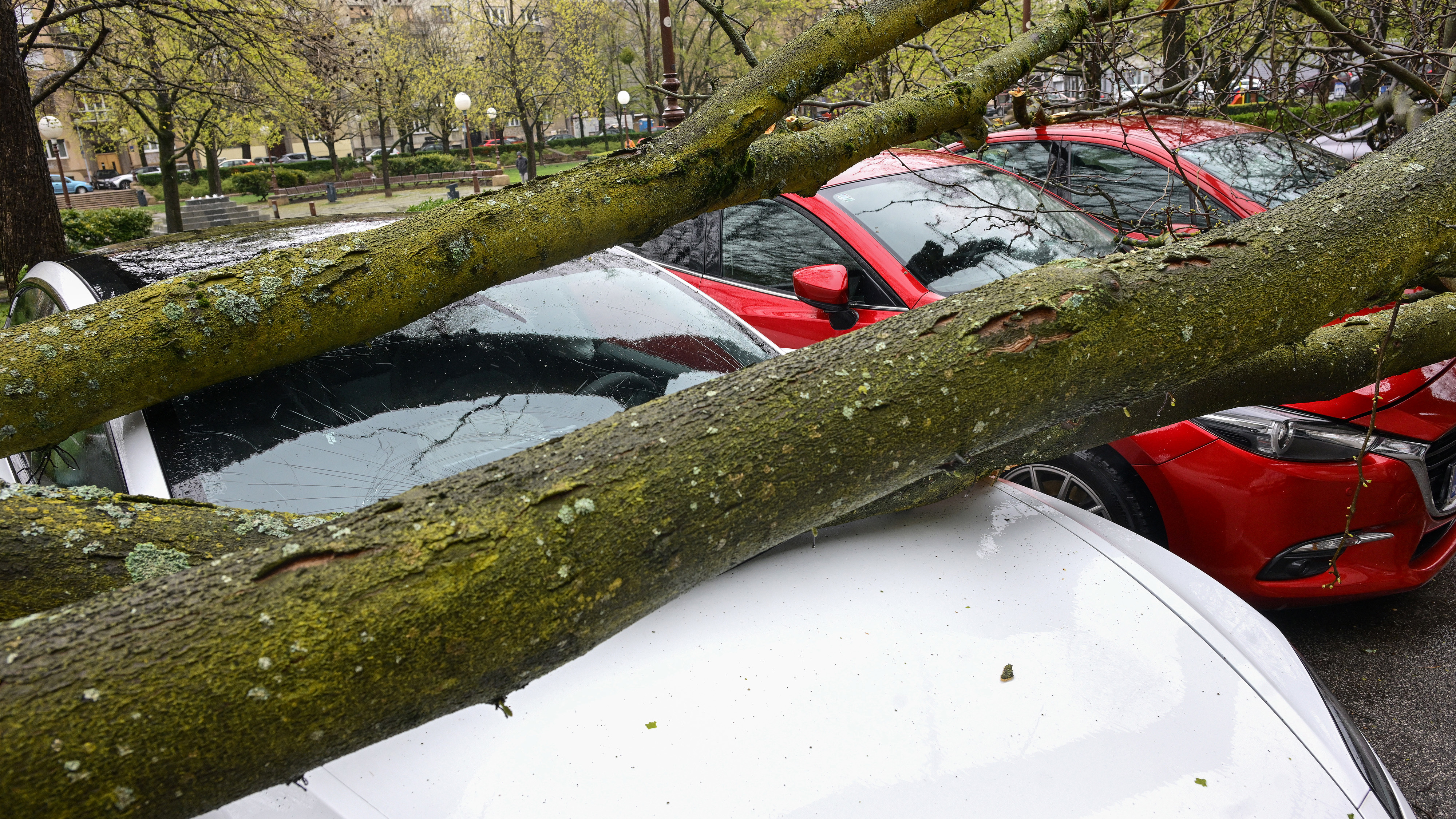 pxl 270326 149123680 20260330085458