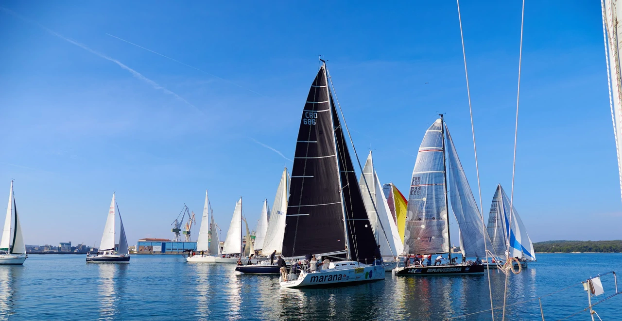 Arena regata