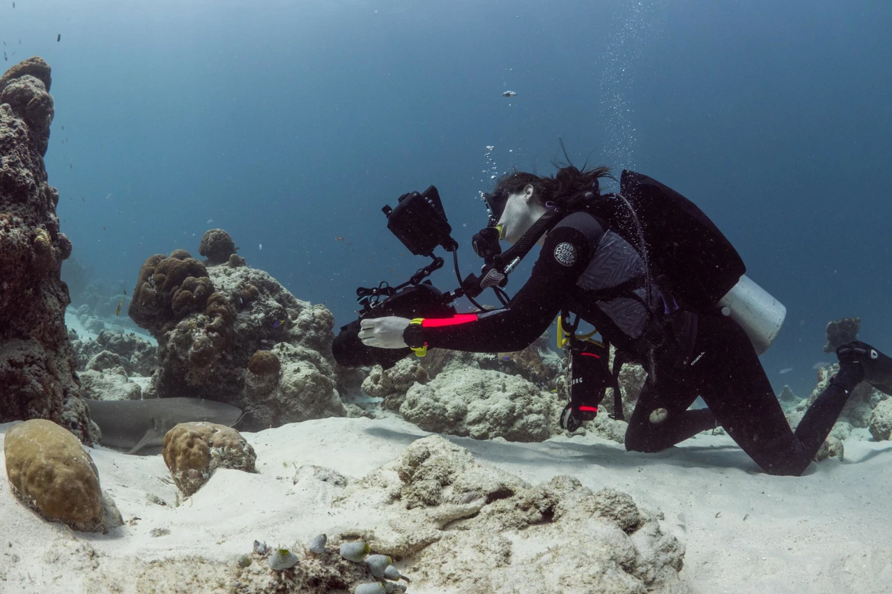 Ponedjeljak, 24. studenog na Drugom, Foto: Legendarna otočja Indijskog oceana: Maldivi/dokumentarna serija