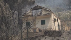 Požar kod Omiša