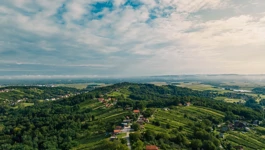 Ilustracija: Međimurske gorice i vrhovi
