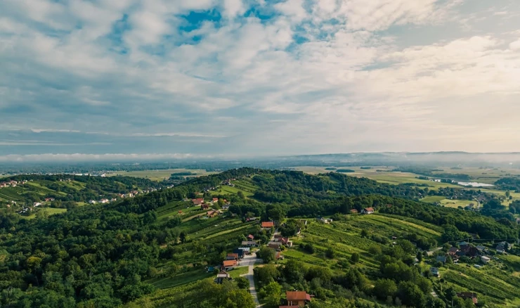 Ilustracija: Međimurske gorice i vrhovi